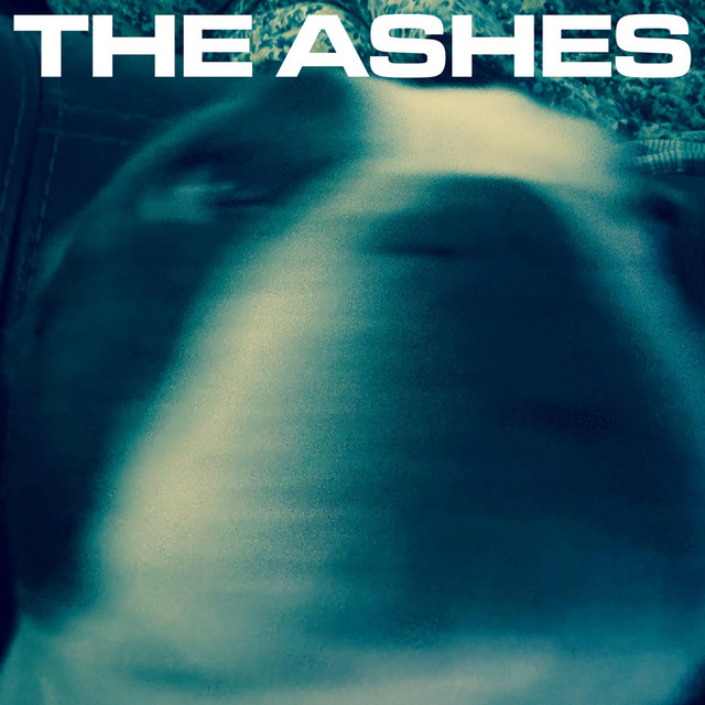 Another Punk Album From Another Cool Punk Band cover art