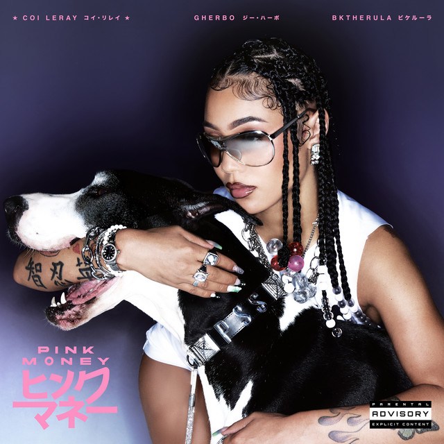 Pink Money (feat. G Herbo) cover art