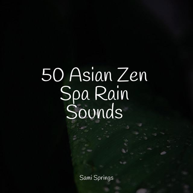 50 Asian Zen Spa Rain Sounds - Album by Nature Sound Series | Spotify
