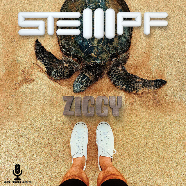 Ziggy cover