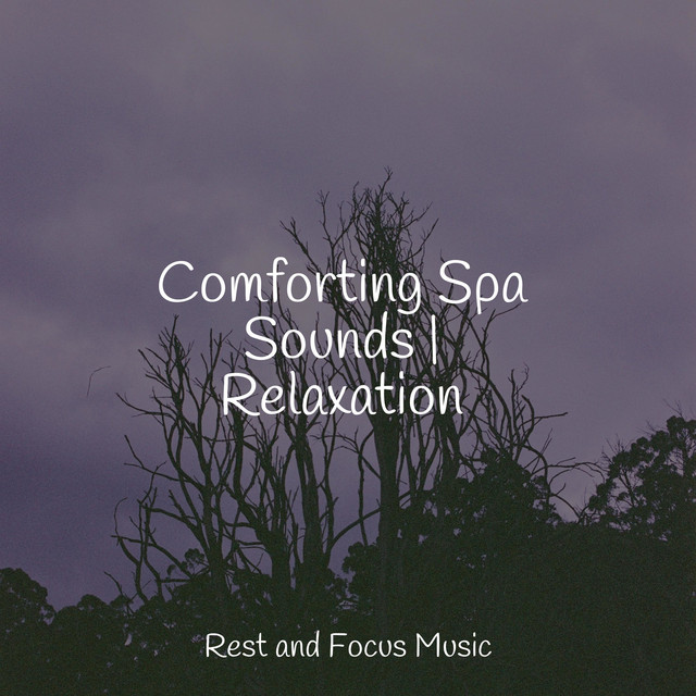 Comforting Spa Sounds | Relaxation - Album by Relaxing Nature Music ...