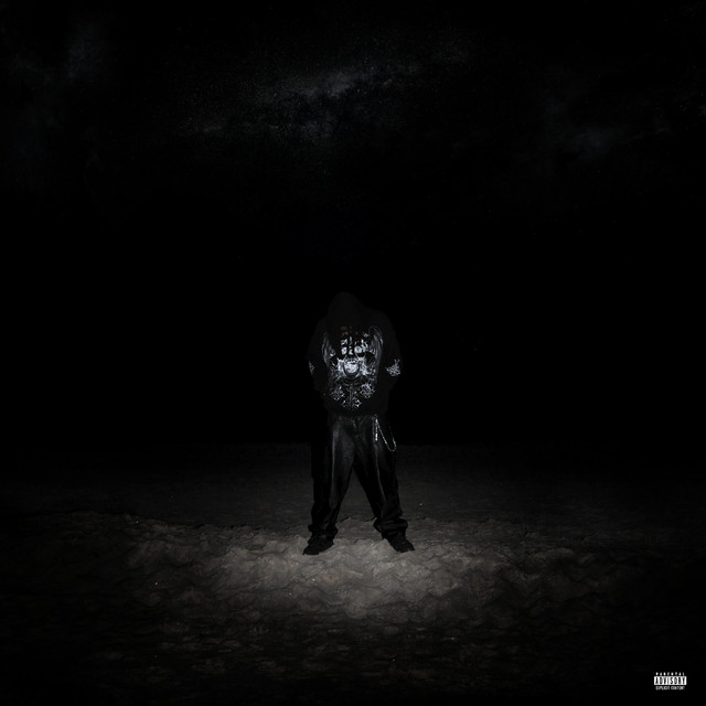VIE DE ROCKSTAR cover art
