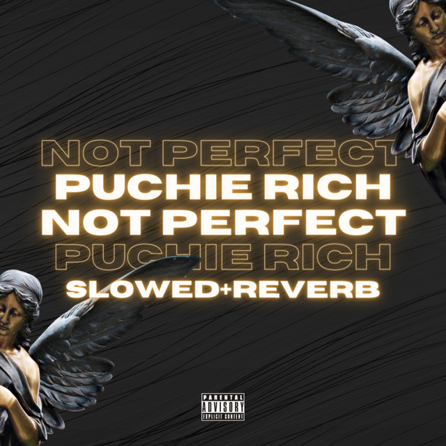Not Perfect (Slowed + Reverb) - Single by Puchie Rich | Spotify