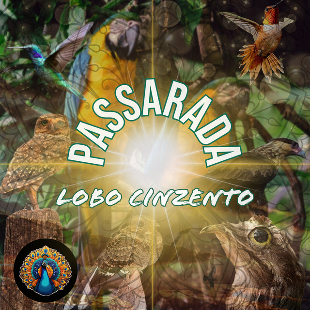 Passarada