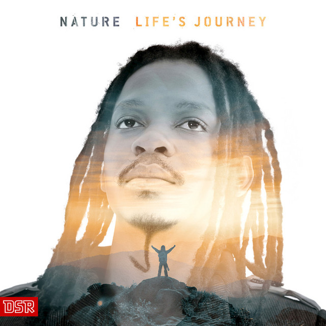 Life's Journey cover art