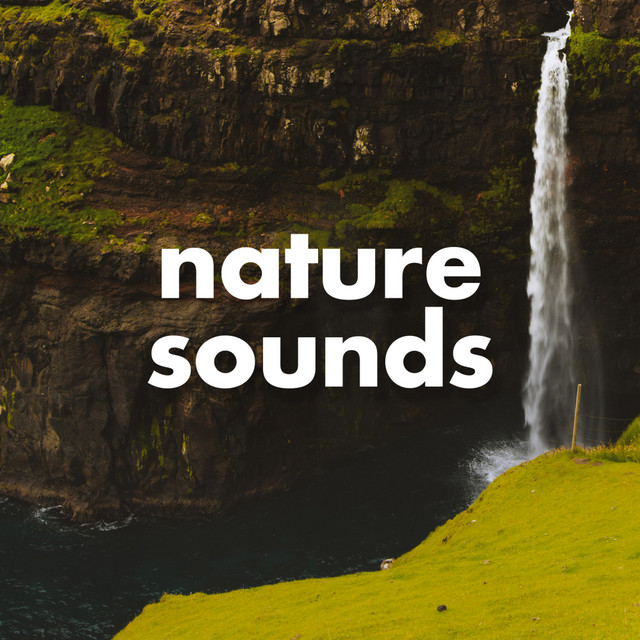 Nature Sounds cover art