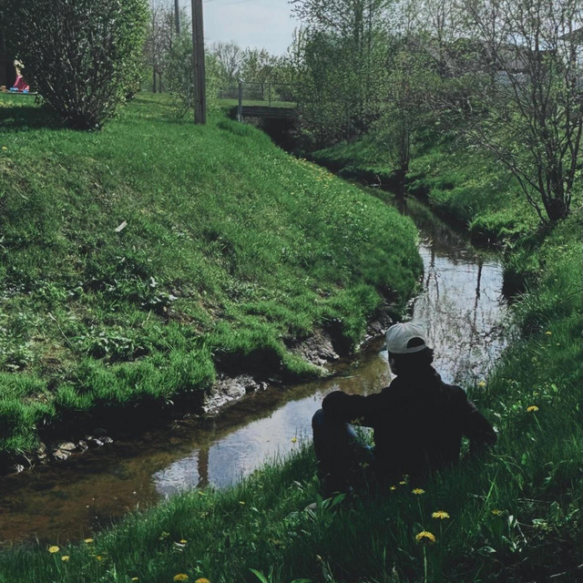 See What's on Your Mind