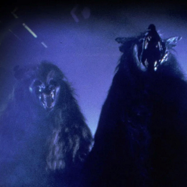 LATER cover art