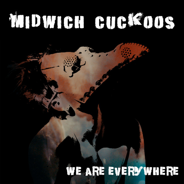 We Are Everywhere cover