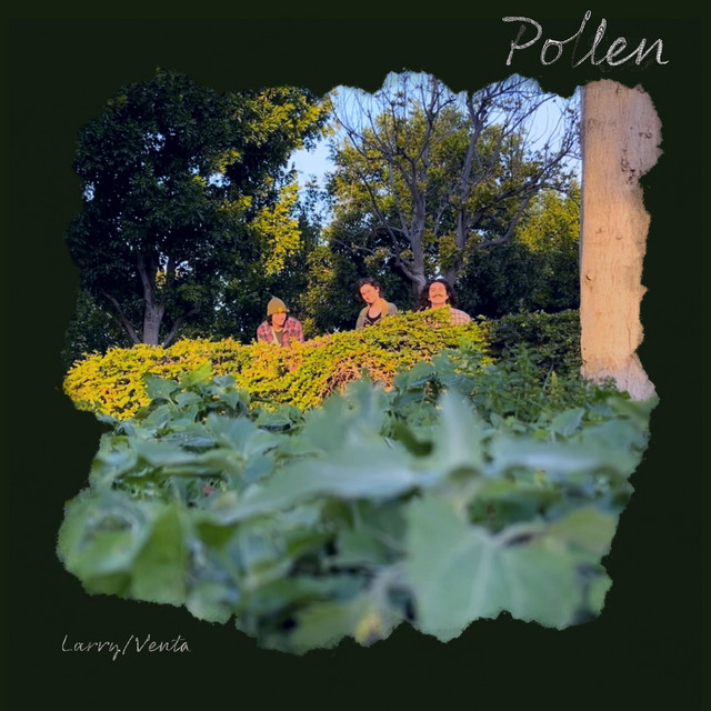 Larry/Venta cover art