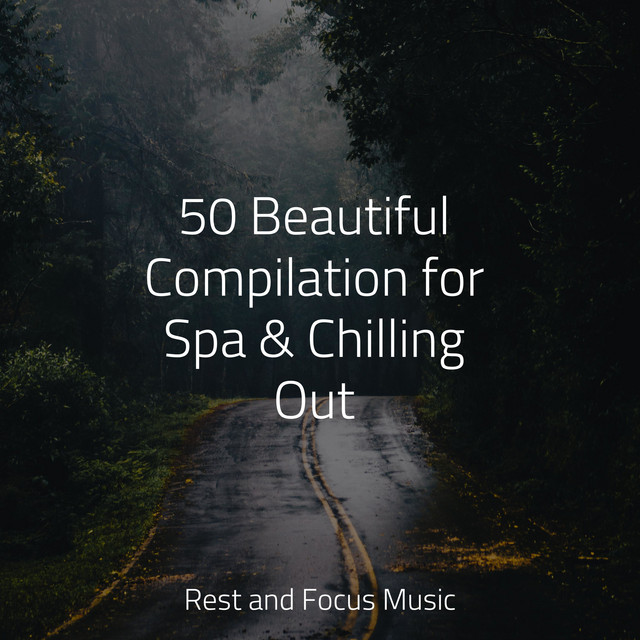 50 Beautiful Compilation for Spa & Chilling Out - Album by Study Music ...