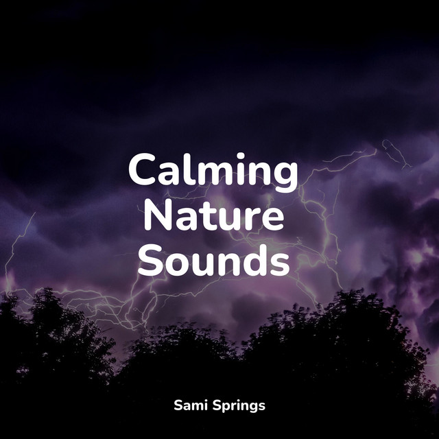 25 Natural Rain Sounds for Meditation and Sleep - Album by Soothing ...