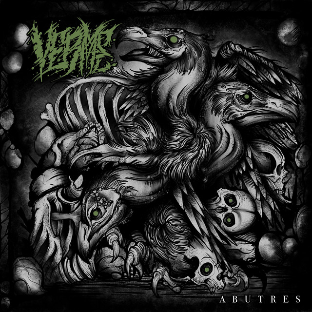 undefined album image