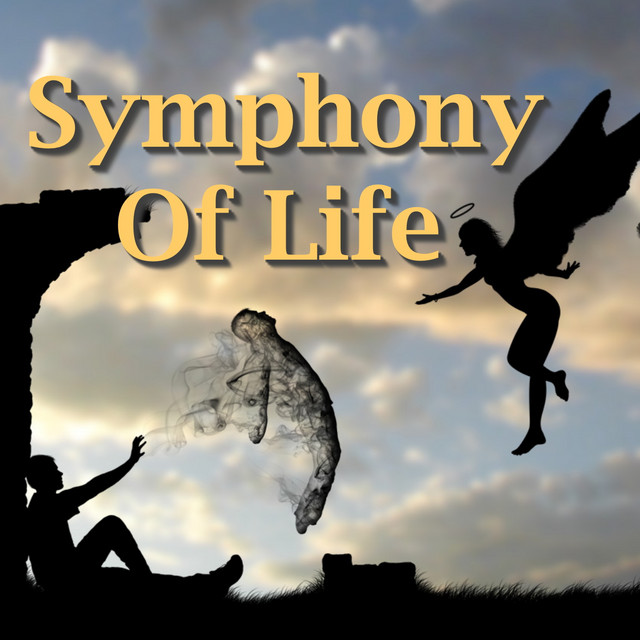 その他 Symphony of Life [DVD] Symphony Of Life - Compilation by Various Artists | Spotify