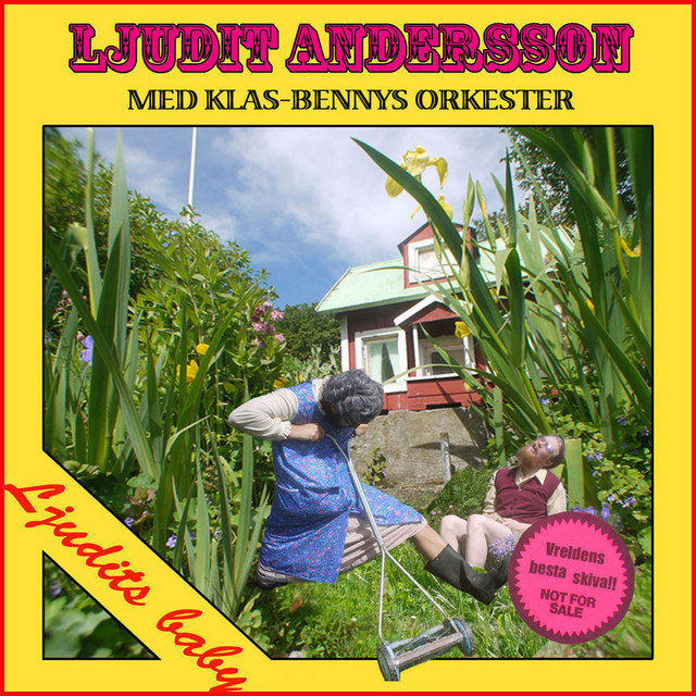 Ljudits Baby cover art