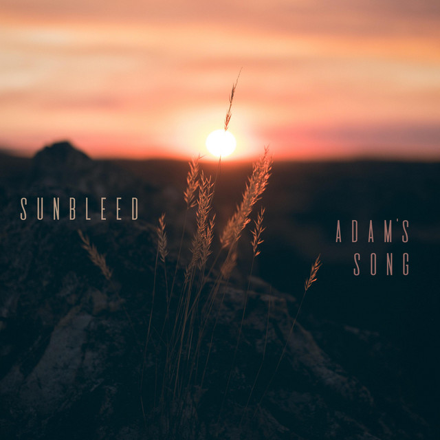 Adam's Song (single)