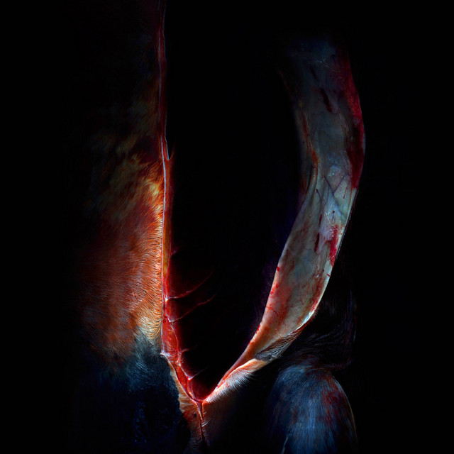 XXVI Crimes of Love cover art