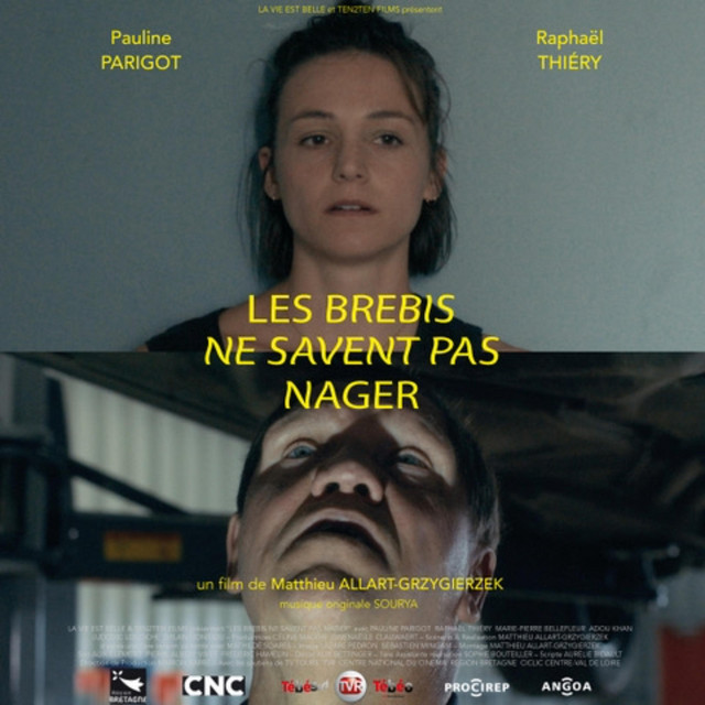 Les Brebis ne Savent Pas Nager (Original Motion Picture Soundtrack) cover art