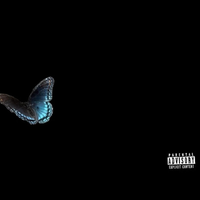 4DESSY cover art