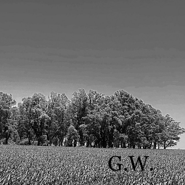 German Wust
