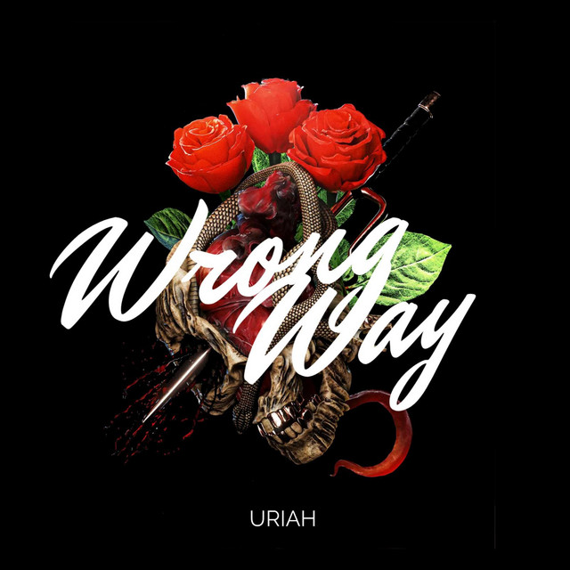 Wrong Way cover art