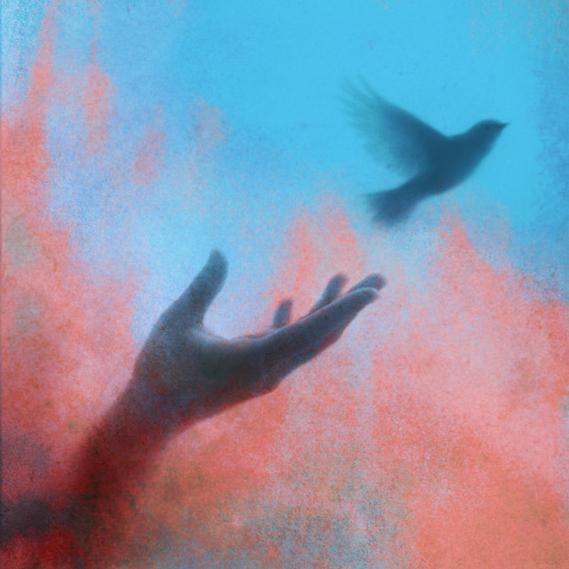 Обкладинка: Лети — PRIANA