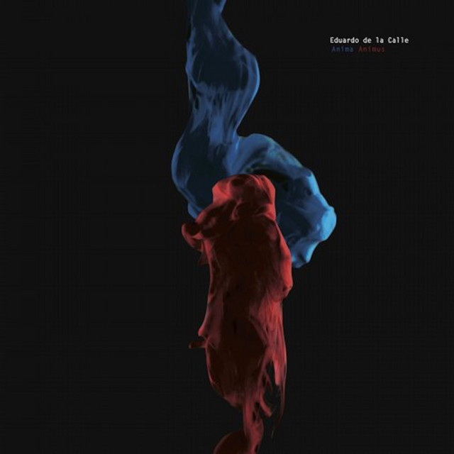 Anima Animus album art