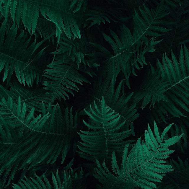Beautiful Tracks for Spa Relaxation cover art