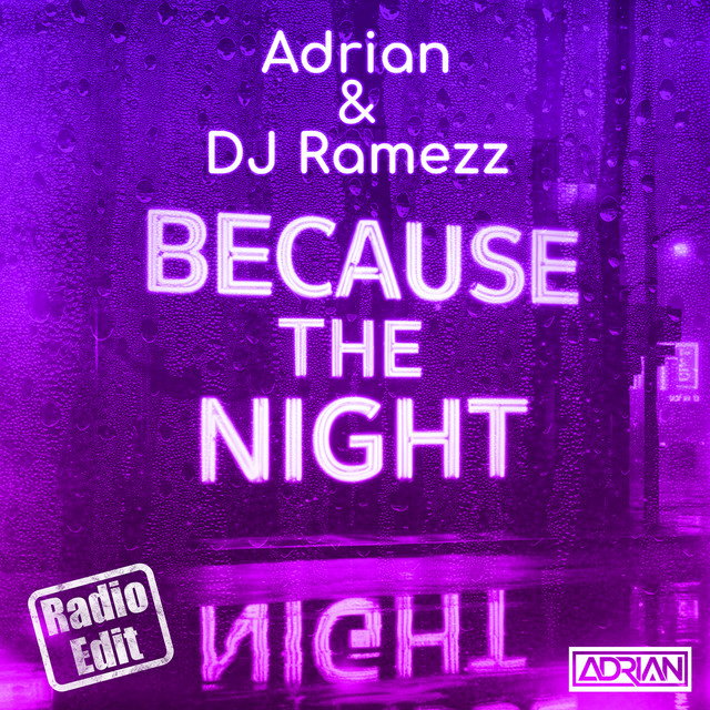 Because the Night - Radio Edit