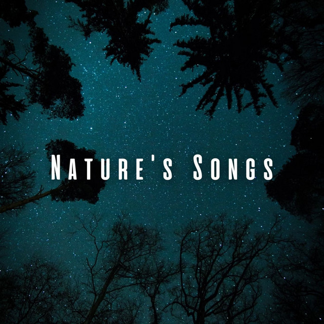 Nature's Songs: Peaceful Sleep with Cicada Sounds - Album by Non-stop ...