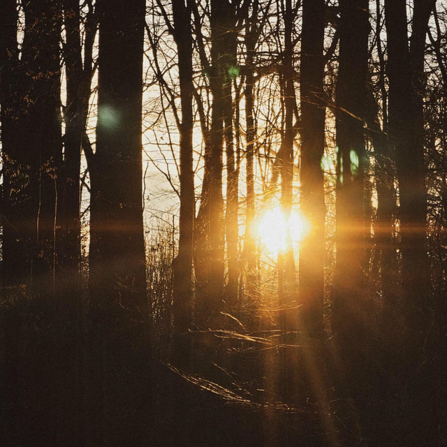 Solstice album image