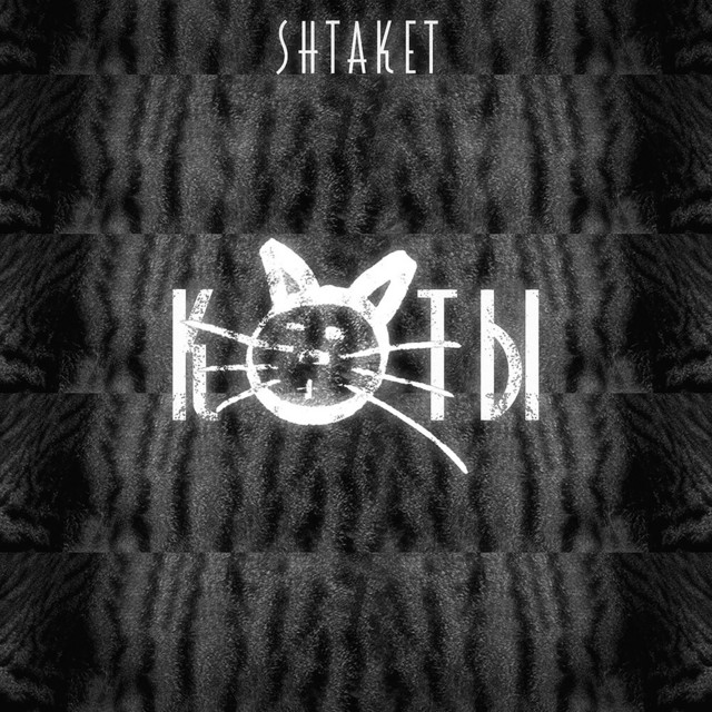 Обкладинка: Коты — Shtaket