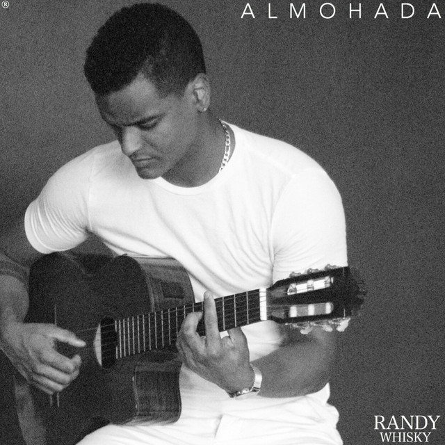 Almohada cover