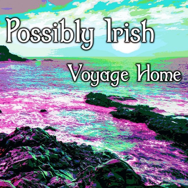 Voyage Home cover art