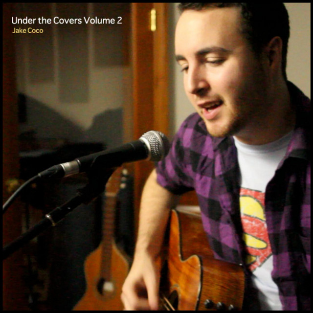 Under the Covers, Vol. 2 cover art
