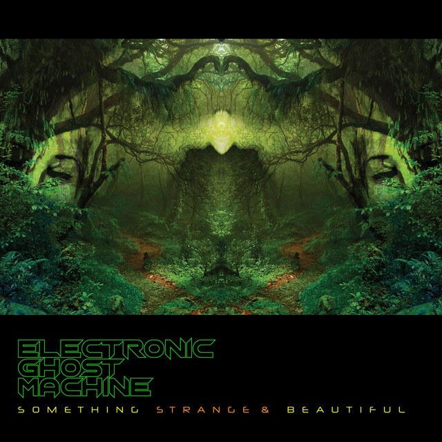 Something Strange and Beautiful cover art