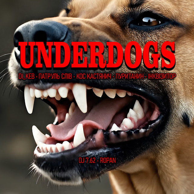 Обкладинка Underdogs