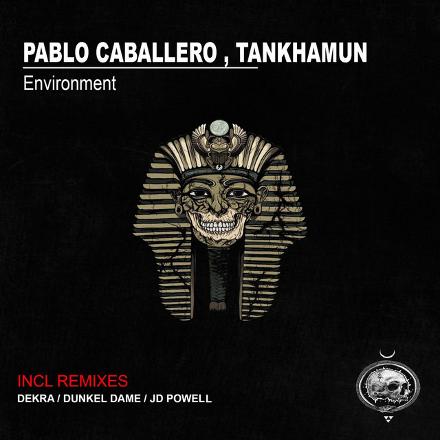 Environment cover art