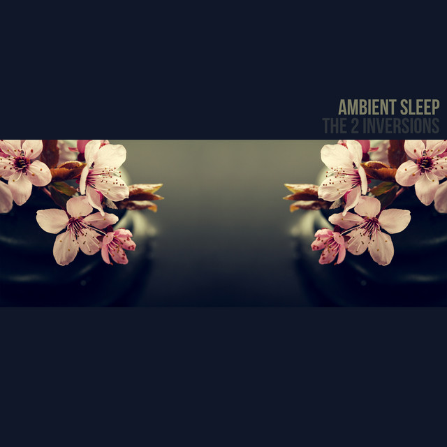 Ambient Sleep by The 2 Inversions