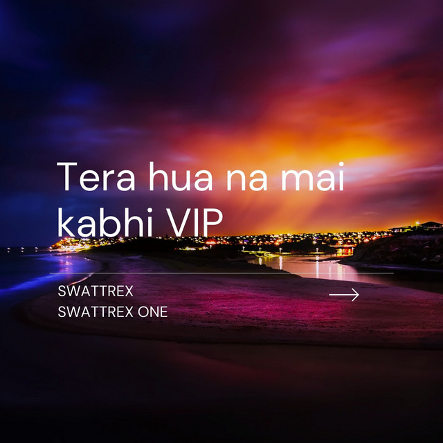 Tera Hua Na Mai Kabhi VIP cover