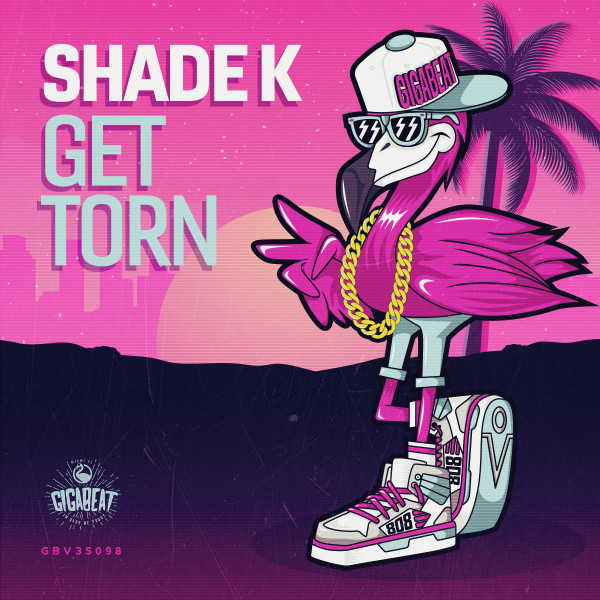Get Torn album art
