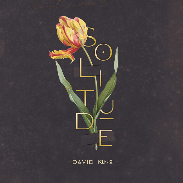 Solitude cover art