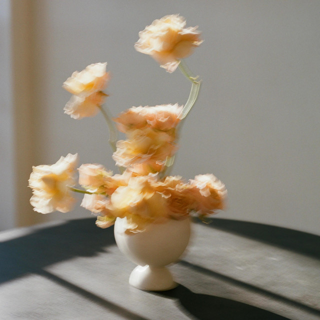 le printemps cover