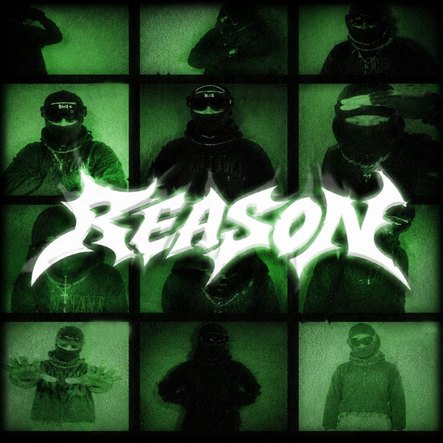 Reason cover art