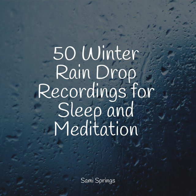 50 Winter Rain Drop Recordings for Sleep and Meditation - Album by Sons ...