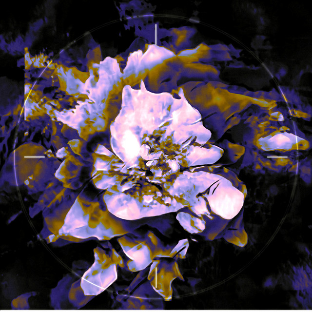 Anthea EP cover art