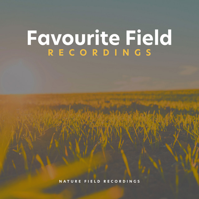 Deep Thunder Rumble - song and lyrics by Nature Field Recordings | Spotify