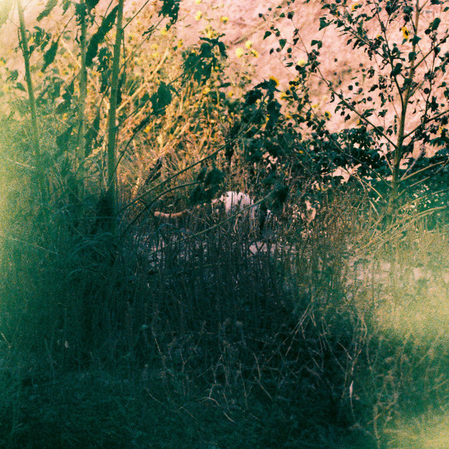 Death Will Come and It Will Have Your Eyes (single)