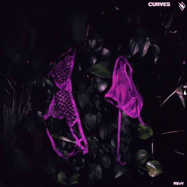 Curves cover art