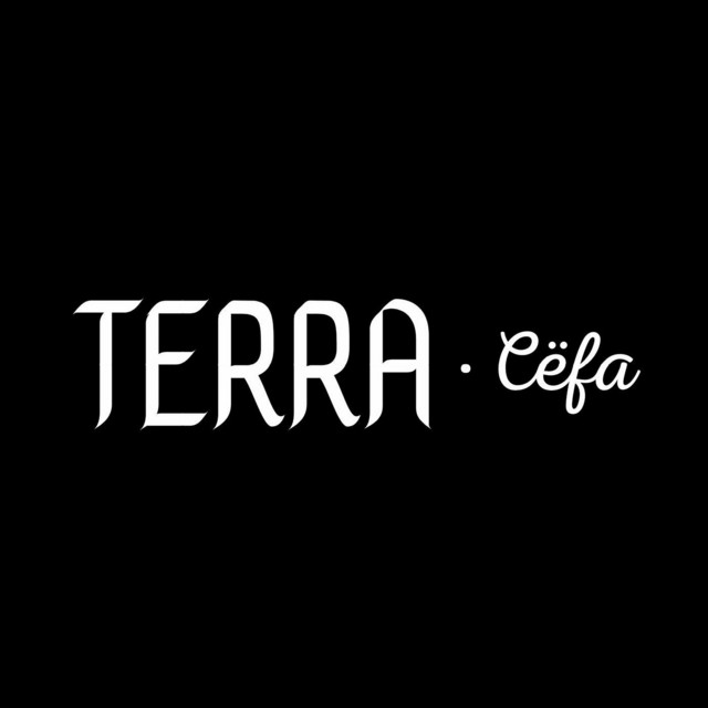 Terra cover art